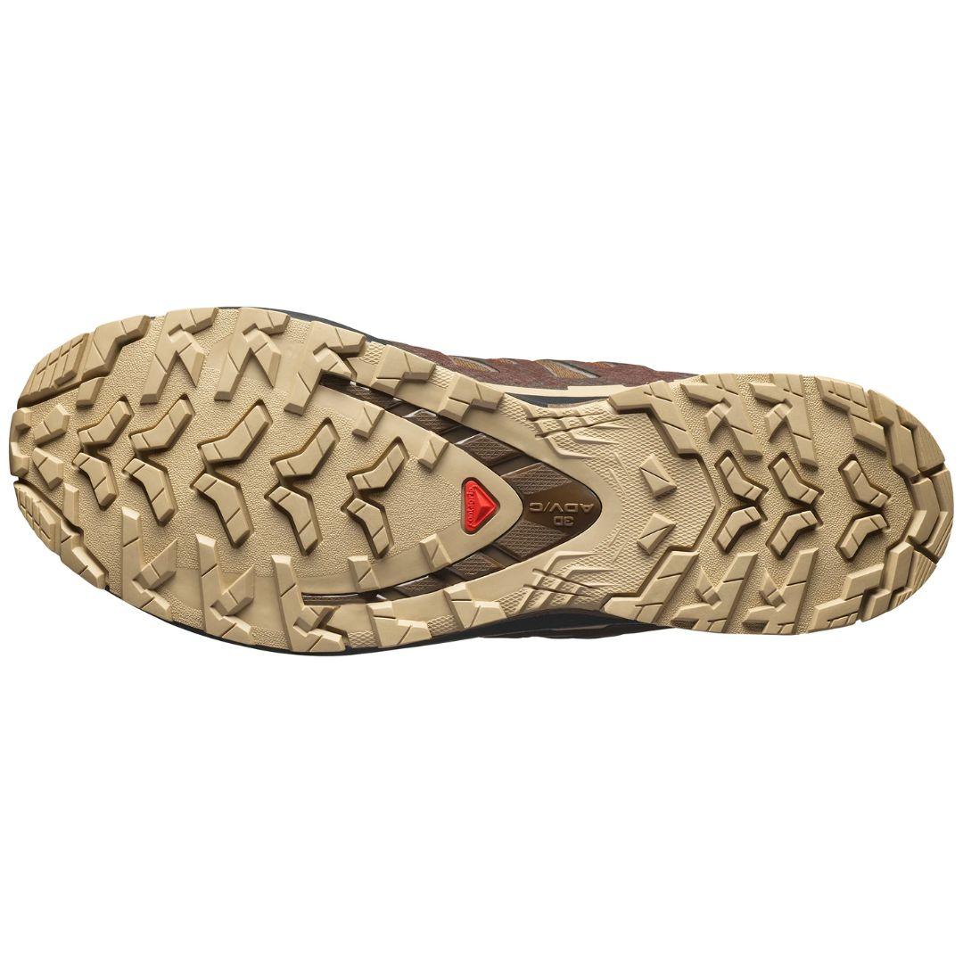 Salomon Men's XA Pro 3D V9 Gore-Tex Trail Running Shoes